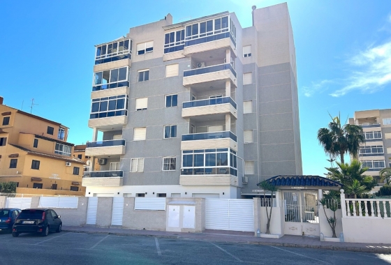 Apartamento - Obra nueva - Torrevieja - Torrevieja