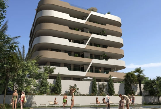 Apartamento / piso - Obra nueva - Alicante - Alicante