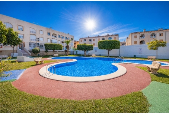 Apartamento - Reventa - Torrevieja - Playa del Acequión