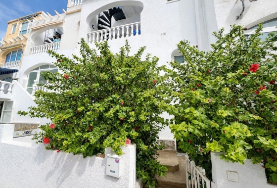 Apartment - Resale -
            San Miguel de Salinas - URE-94872