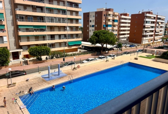 Apartment - Resale - Torrevieja - Punta prima