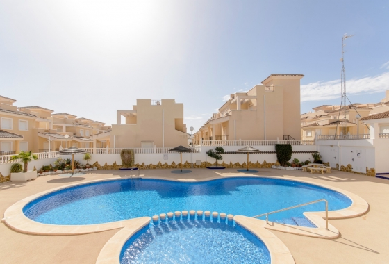 Stadthaus - Neue Gebäude -
            San Miguel de Salinas - EFHO PAOLA