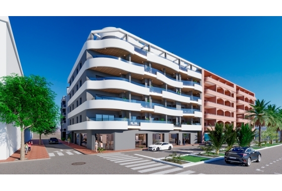 Wohnung - Neue Gebäude -
            Torrevieja - AMA KASIA 2D
