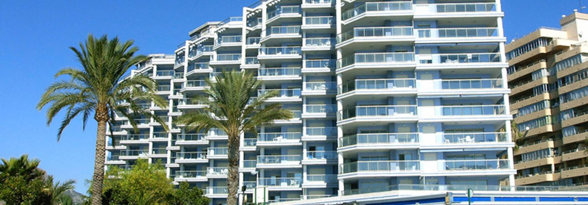 Hipocampos