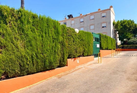 Resale - Bungalow - Torrevieja - Los Balcones
