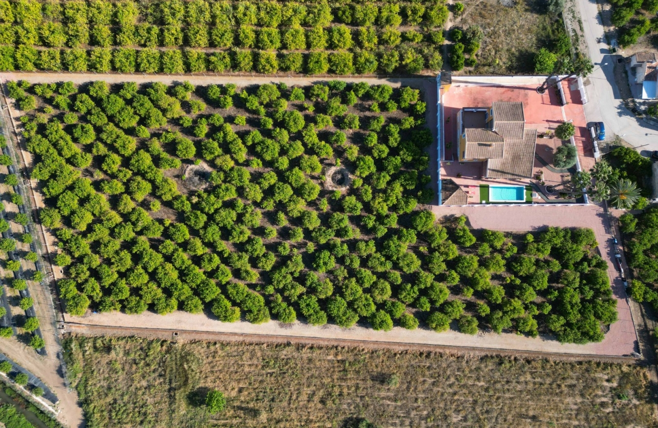 Resale - Villa - Orihuela