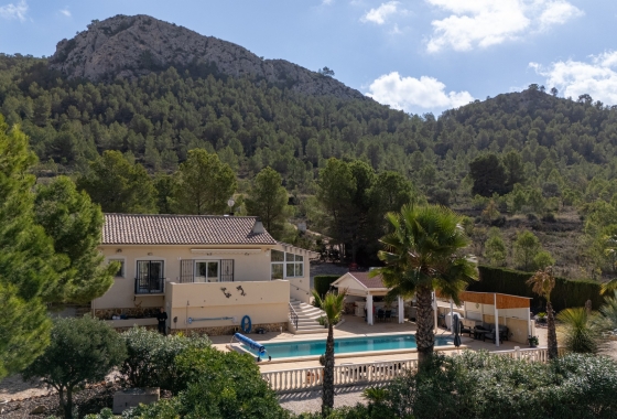 Reventa - Villa - La Zarza