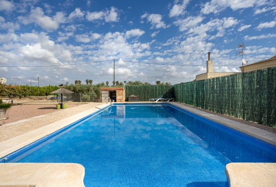 Resale - Villa - Elche - La Hoya