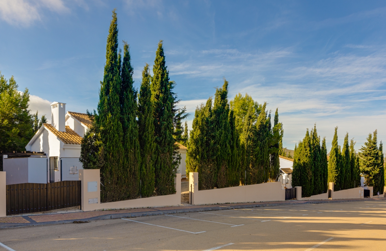 New Build - Townhouse - Fuente Alamo