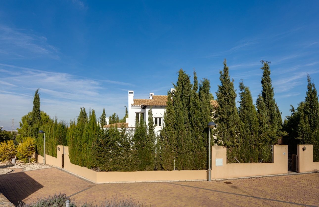 New Build - Townhouse - Fuente Alamo