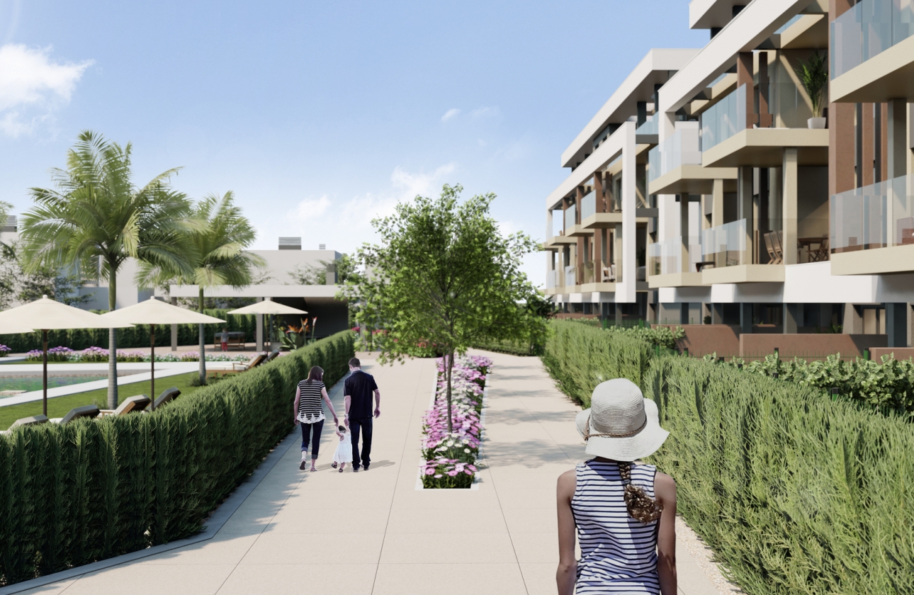 Nouvelle construction - Appartement - santa rosalia
