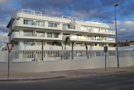 Obra nueva - Apartamento - Cabo Roig