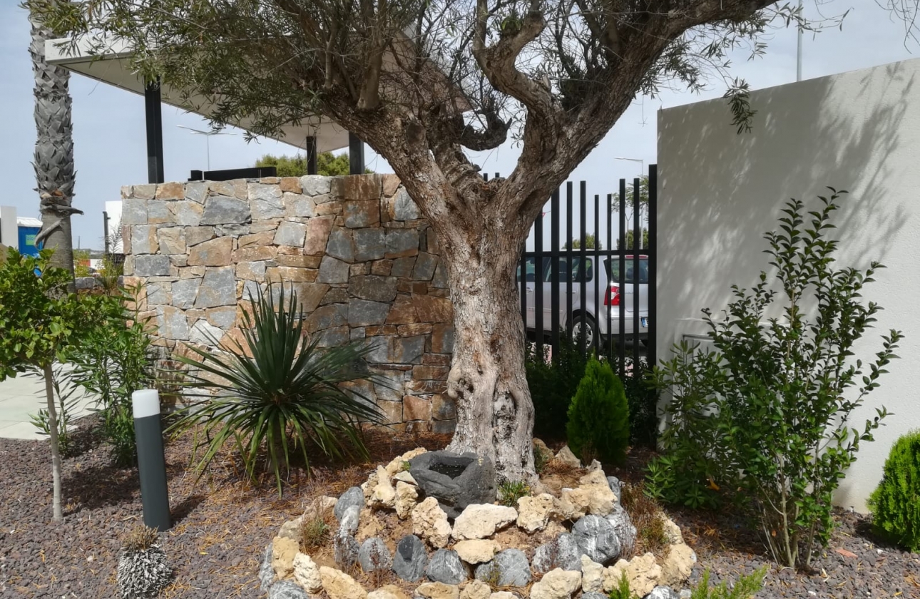 Neue Gebäude - Bungalow - Torrevieja
