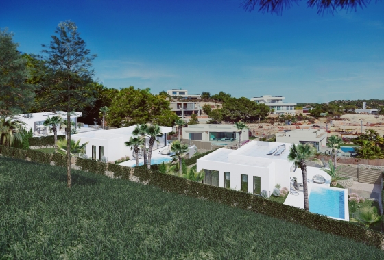 New Build - Villa - San Miguel de Salinas