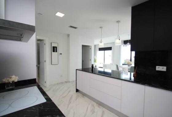 Nouvelle construction - Villa - San Miguel de Salinas
