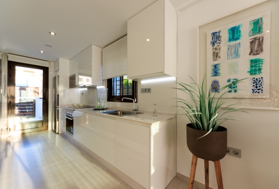 Nouvelle construction - Maison de ville - Pilar de la Horadada