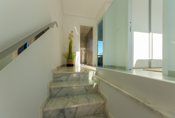 Nouvelle construction - Maison de ville - Pilar de la Horadada