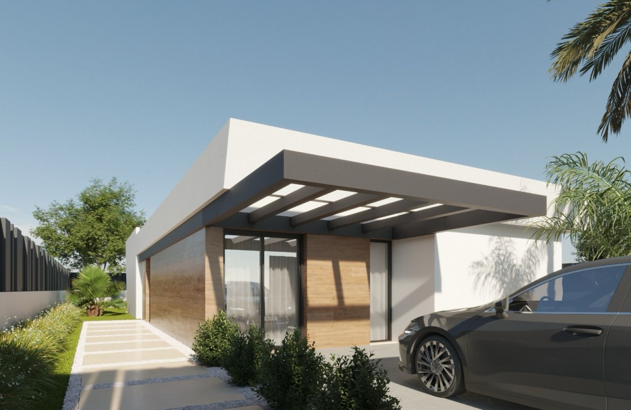 Nouvelle construction - Maison de ville - Molina de Segura