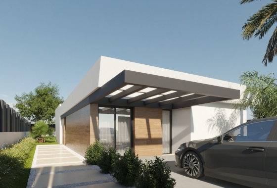 Nouvelle construction - Maison de ville - Molina de Segura