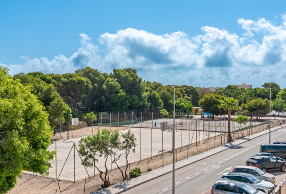 New Build - Villa - Mil Palmeras