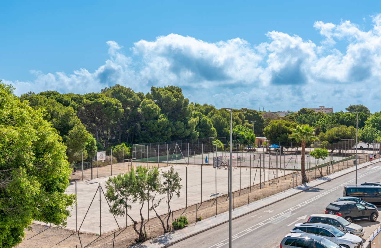 Obra nueva - Villa - Mil Palmeras