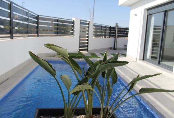 New Build - Townhouse - roldán