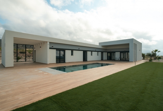 Nouvelle construction - Maison de ville - Pinoso