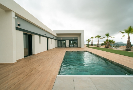 Nouvelle construction - Maison de ville - Pinoso