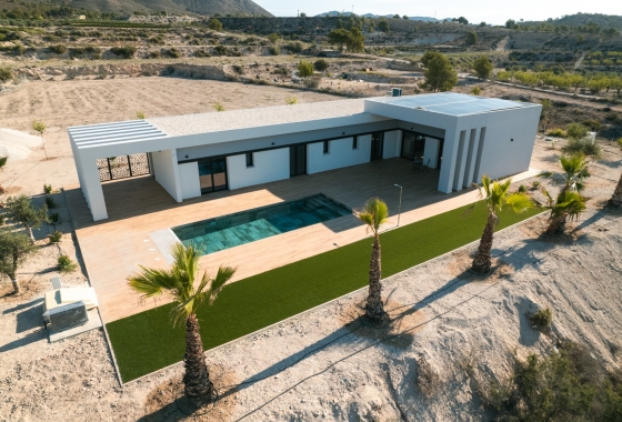 Nouvelle construction - Maison de ville - Pinoso