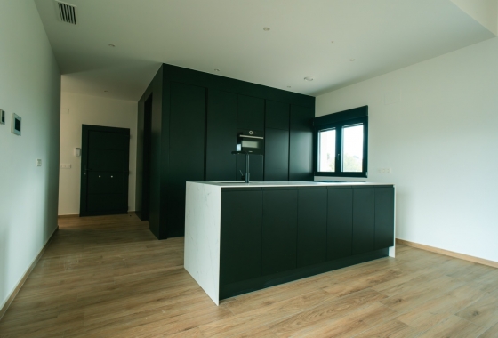 Nouvelle construction - Maison de ville - Pinoso