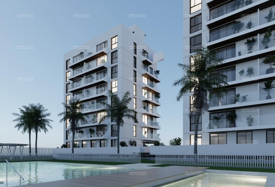New Build - Apartment - Guardamar del Segura