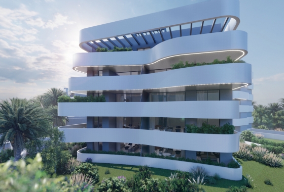 Obra nueva - Apartamento - Guardamar del Segura