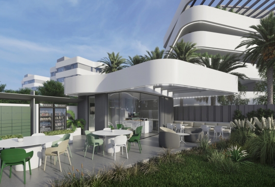 Obra nueva - Apartamento - Guardamar del Segura