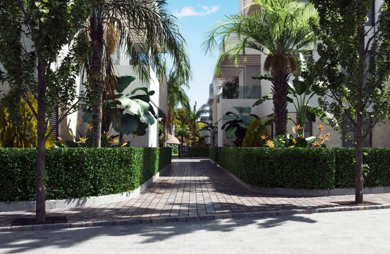 New Build - Apartment - santa rosalia