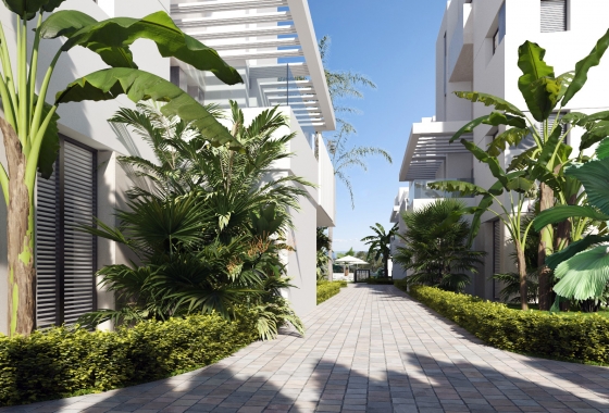 New Build - Apartment - santa rosalia