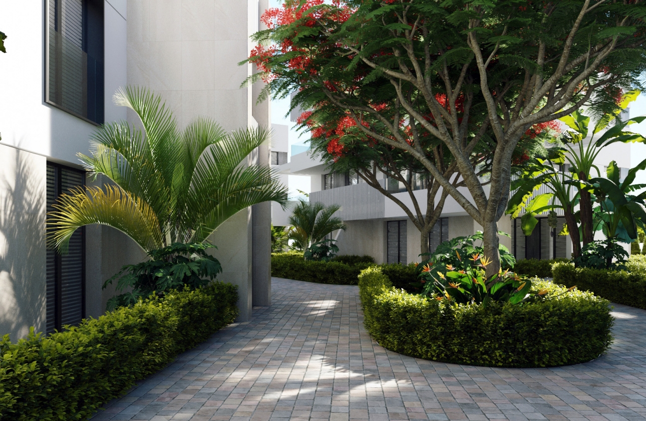 New Build - Apartment - santa rosalia