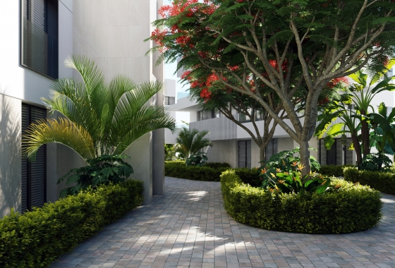 New Build - Apartment - santa rosalia