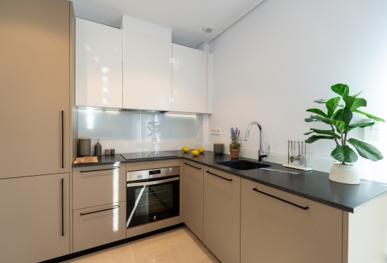 Nouvelle construction - Maison de ville - Elche