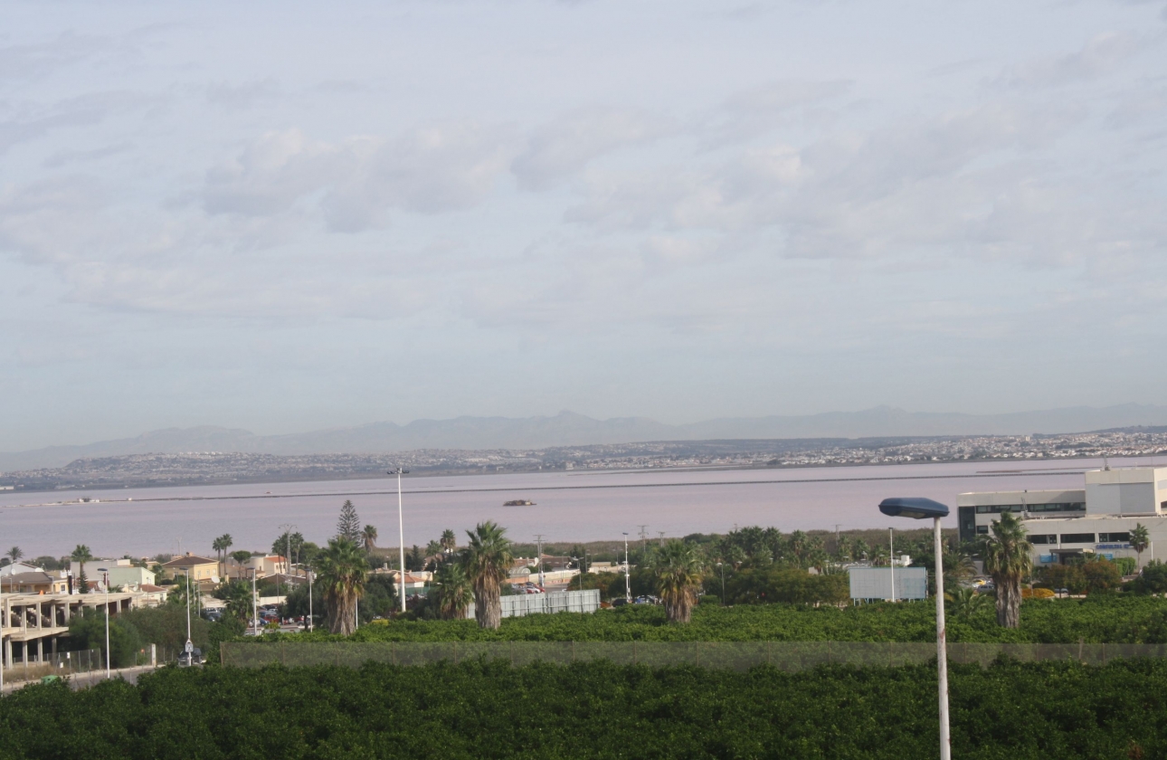 Neue Gebäude - Stadthaus - Torrevieja