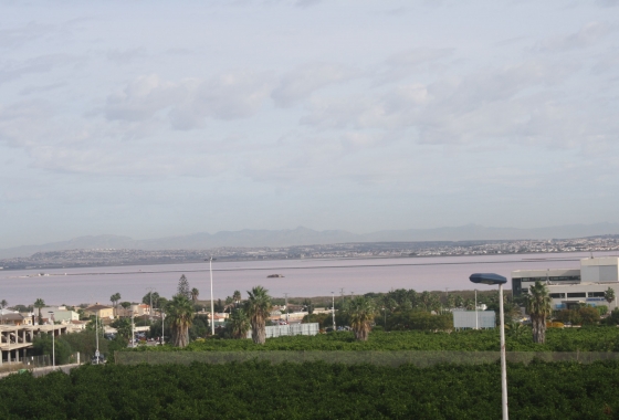 Neue Gebäude - Stadthaus - Torrevieja