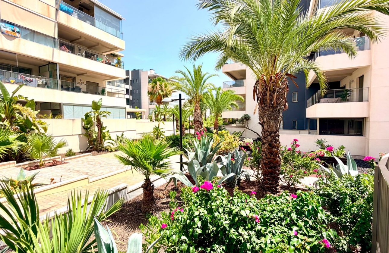 Resale - Apartment - Orihuela Costa - La Zenia