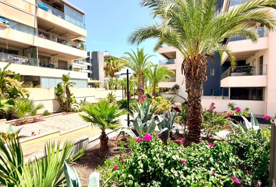 Wiederverkauf - Wohnung - Orihuela Costa - La Zenia