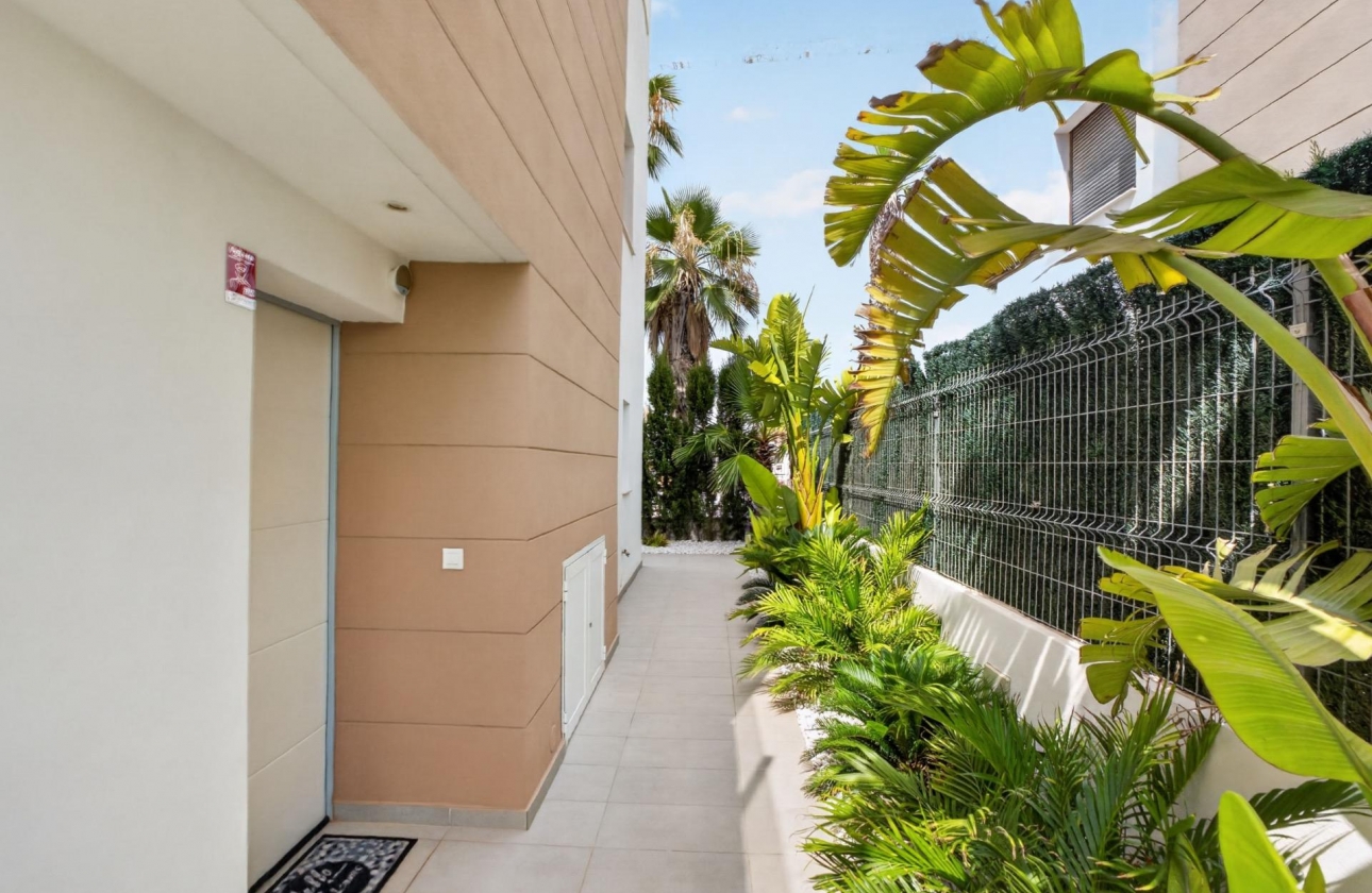Resale - Villa - Guardamar del Segura - EL RASO