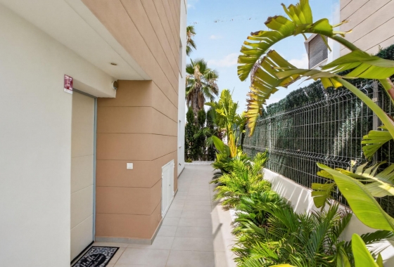 Resale - Villa - Guardamar del Segura - EL RASO