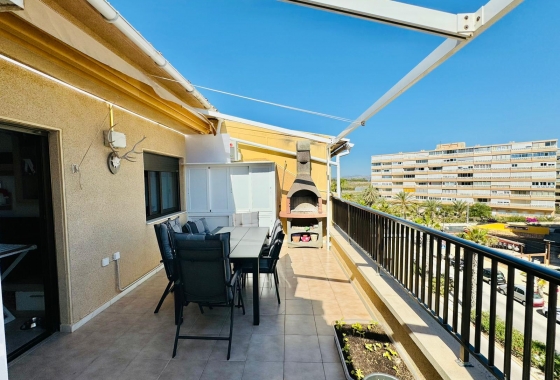 Reventa - APARTAMENTO - Torrevieja - LA MATA