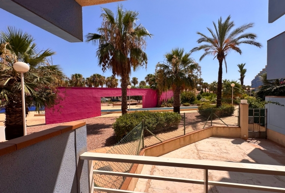 Resale - Apartment - Orihuela Costa - Agua Marina