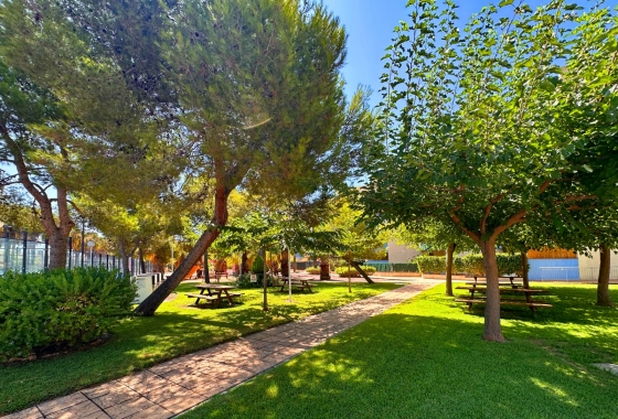 Resale - Apartment - Orihuela Costa - Agua Marina