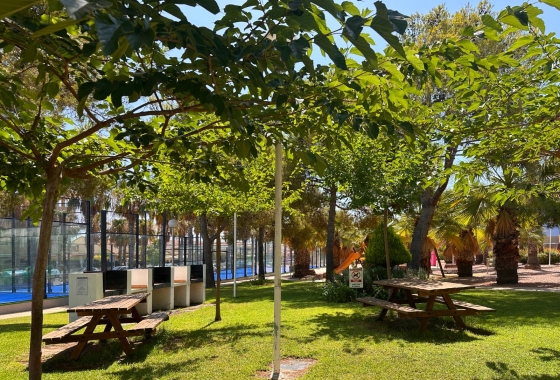 Resale - Apartment - Orihuela Costa - Agua Marina
