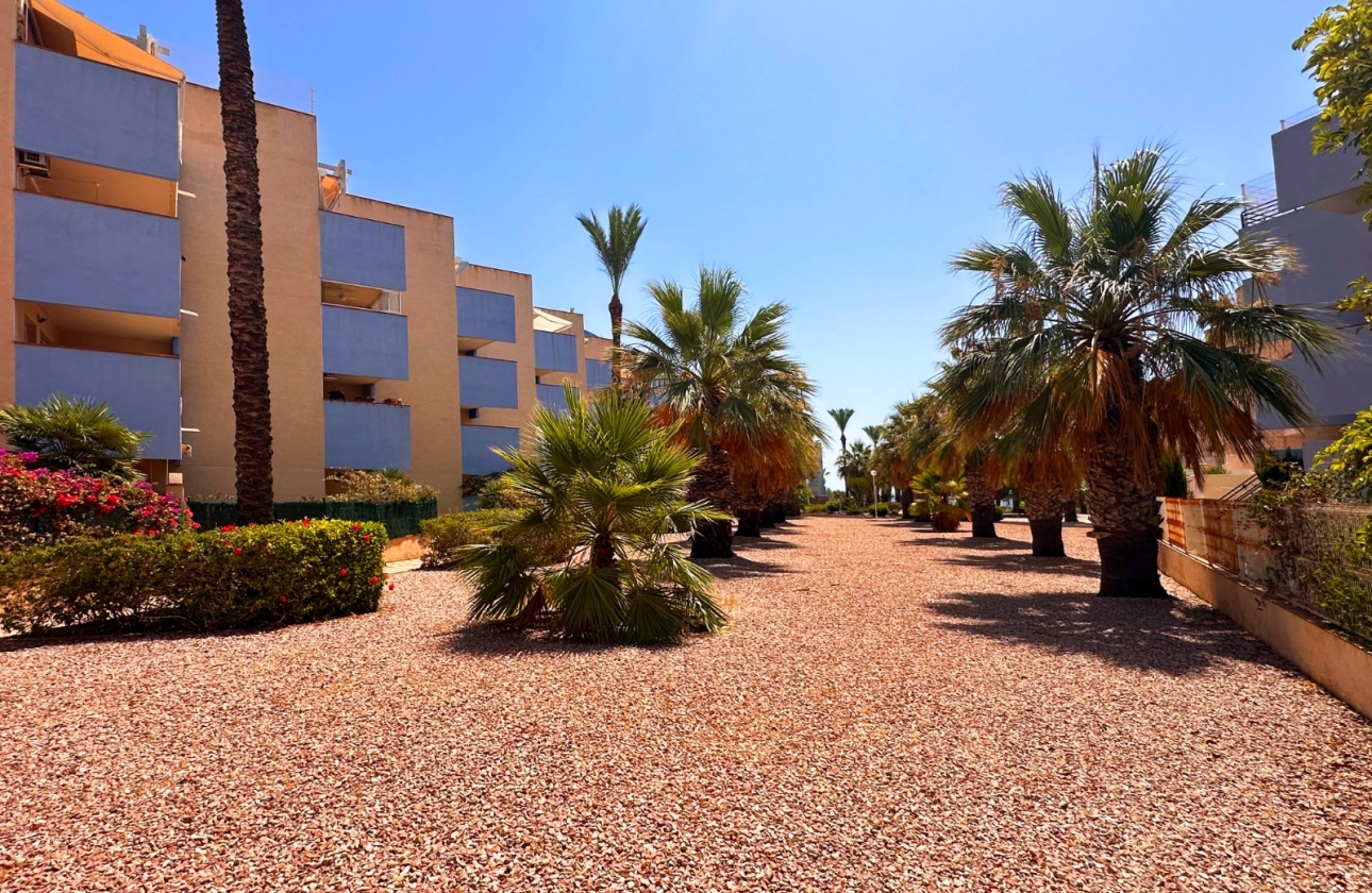 Resale - Apartment - Orihuela Costa - Agua Marina