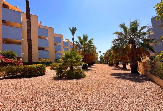 Resale - Apartment - Orihuela Costa - Agua Marina